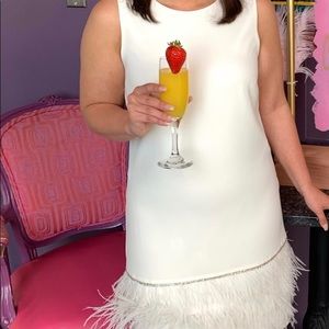 Only wore 1x for bridal shower. Mid length-rhinestones and feathers. Dry cleaned